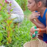 Use weed cloth in vegetable gardens to prevent unwanted growth and conserve soil moisture