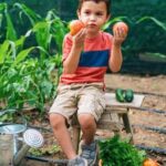 Mid Atlantic Vegetable Gardening: Growing diverse produce in the mid-Atlantic region for a bountiful harvest