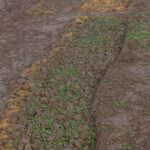 Maximizing space and yields with raised bed vegetable gardening - a guide to the benefits