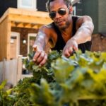 Professional vegetable gardener in Seattle, WA available for hire