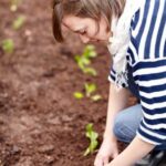 Good Vegetables for Beginner Gardeners Easy to grow vegetables for beginners: tomatoes, lettuce, carrots, and zucchini