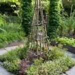 Vibrant and Bountiful Southwest Vegetable Gardening: A Guide to Growing in Arid Climates