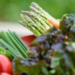 Vibrant seasonal vegetable gardening in Albuquerque NM