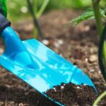 Harvested rooftop rainwater safe for vegetable gardens: Benefits and precautions