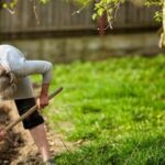 Effective Bug Killer for Vegetable Gardens: Protect Your Plants with Organic Pest Control Spray