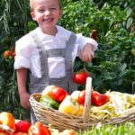 Successful Container Gardening Vegetables Abundant harvest: Successful Container Gardening Vegetables