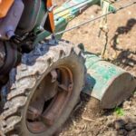 Opt for ACQ-Treated Lumber, Safe for Vegetable Gardens: A Complete Guide