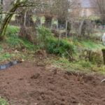 Charming photos of small vegetable gardens bursting with vibrant colors and healthy produce