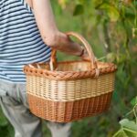 Thriving Vegetable Gardens in Austin TX - Fresh produce, gardening tips, local resources