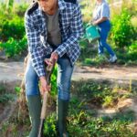 Vibrant vegetable gardening in Alberta, Canada – diverse crops thriving in the northern climate
