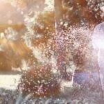 Step-by-step guide to successful indoor vegetable gardening for beginners