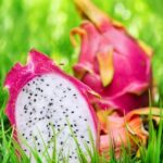 Organic Weed N Feed for Vegetable Gardens: All-Natural Solution for Healthy, Nutrient-Rich Soil