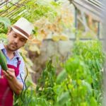 - Treating wood with non-toxic sealant for vegetable gardens to prevent rot and pests