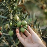 Learn Aquaponic Gardening: Growing Fish & Vegetables Together. Udemy Course