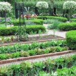 Early Ohio Vegetable Gardens: A Bountiful Harvest of Heirloom Produce