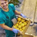 Organic Vegetable Gardening Blogs Discover top organic vegetable gardening blogs for expert advice, tips, and techniques