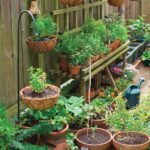 Vertical Gardening: Optimal Veggies to Grow Upwards