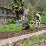 How to use water storage unit for watering vegetable gardens: best practices for efficient irrigation