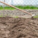 Vibrant Vegetable Garden by Joy Larkcom