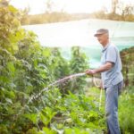 High-quality, durable netting for vegetable gardens. Best netting for protecting crops and supporting climbing plants