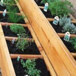 Container gardens: Maximizing space with growing vegetables in containers for a bountiful harvest