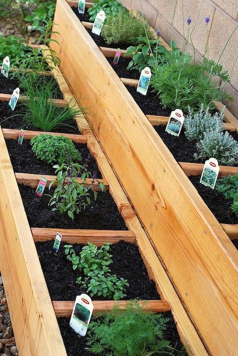 Container gardens: Maximizing space with growing vegetables in containers for a bountiful harvest