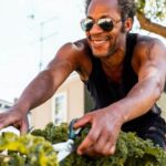 Using Properly Treated Lumber for Vegetable Gardens: Is Treated Lumber Safe for Planting