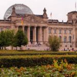 Simple and Effective Home Vegetable Gardening Tips in Tamil for Beginners