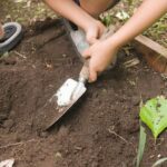 Organic Weed Control: Tips for Keeping Weeds Out of Vegetable Gardens Naturally
