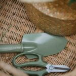 BASIC VEGETABLE GARDENING TIPS: Key factors for successful gardening beginners, soil, watering, and sunlight