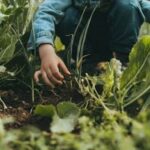 Discover the Top Vegetable Gardening Blogs for expert tips, tricks, and inspiration for your green space