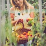 Comprehensive Guide to Florida Fruit & Vegetable Gardening: Tips for a Successful Harvest in the Sunshine State