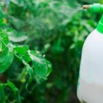 Benefits of Home Vegetable Gardening Enjoy the health and savings benefits of home vegetable gardening in your own backyard