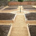 Vegetable Gardening Definition: Cultivating edible plants in a designated area for personal use or commercial purposes