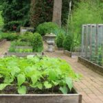 Indoor vegetable garden system with year-round produce for indoor home gardening enthusiasts