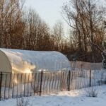 Is Preen Safe for Vegetable Gardens Ensuring safety: Using Preen in vegetable gardens