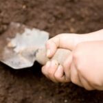 Wisconsin Vegetable Gardening Tips: Growing season, best plants, soil prep, and maintenance for local gardeners