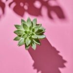 Fresh ARCTIC GARDENS VEGETABLES featured in vibrant commercial showcasing farm-to-table process