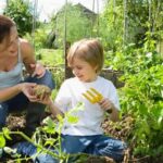 Apartment Vegetable Gardening Tips: Maximizing Limited Space for Urban Greenery
