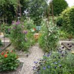 Protect your vegetables with durable crop covers for healthier, more bountiful gardens