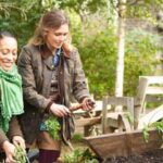 Arizona desert vegetable gardening: thriving heirloom tomatoes, sun-kissed peppers, and vibrant squash