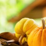 How to Make Safe and Effective Organic Pesticides for Vegetable Gardens: A Step-by-Step Guide