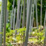 Portable green house for vegetable gardens: A convenient way to extend your growing season