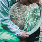 Tomatoes, carrots, and peppers are the easiest vegetables to grow in African gardens