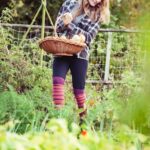 Explore the best seed catalogs for vegetable gardeners: high-quality, diverse, and reliable options for all your gardening needs