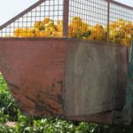 Maximize space with vertical gardening systems for vegetables: a practical solution for small gardens