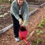 How to Keep Cats and Dogs Out of Vegetable Gardens: Pet-Proof Fences & Natural Repellents