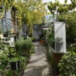 Newspaper mulch is safe in vegetable gardens for weed control