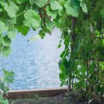 Home Vegetable Gardening Book: Grow Your Own Produce from the Comfort of Your Garden