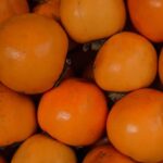 Explore sustainable gardening tips in Seattle: SEATTLE VEGETABLE GARDENING BLOG